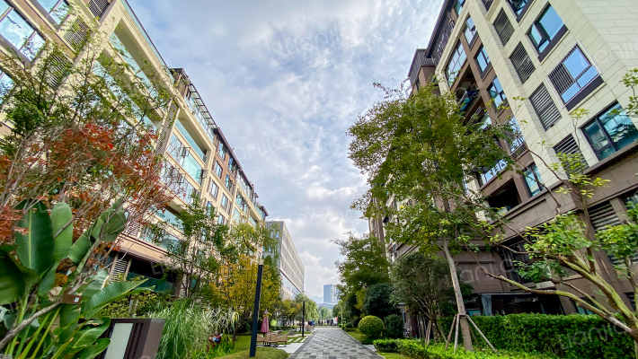 茅莱山居文澜里外景图