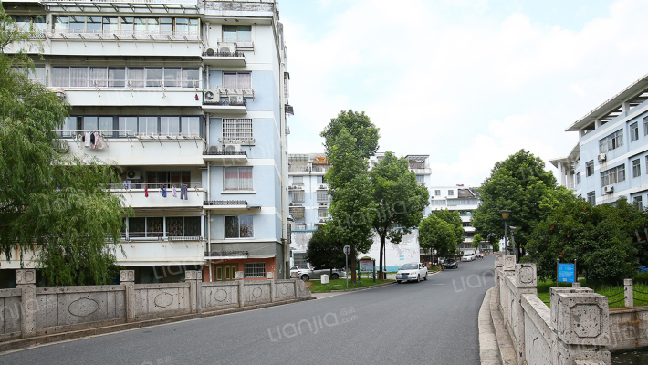 越西新村外景图