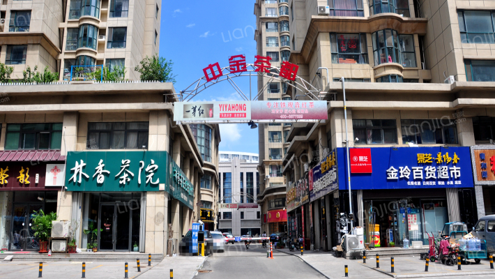 中金茶都外景图