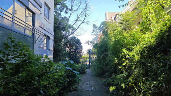 诚河新旅城六区外景图