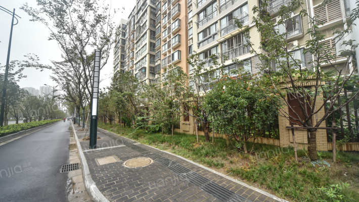 明珠苑北区外景图