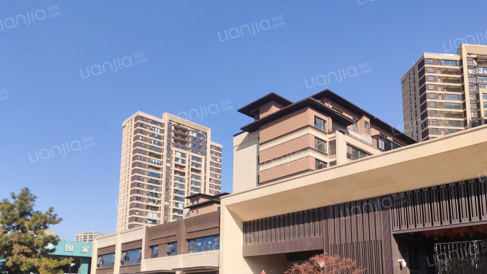 中南林樾外景图