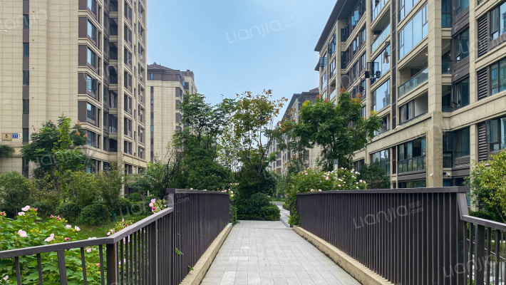 红星天铂外景图