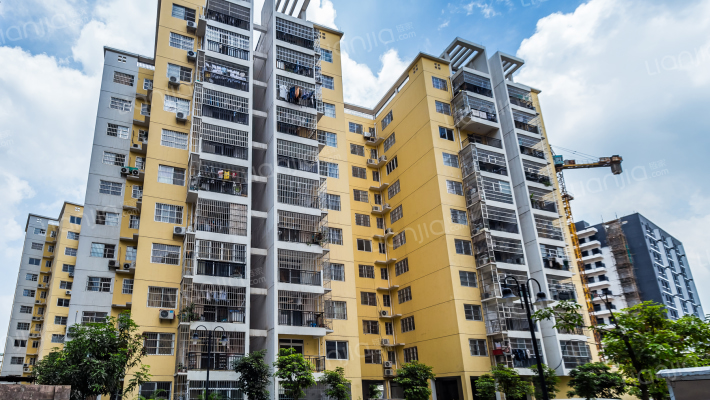 鑫利华花城B区外景图