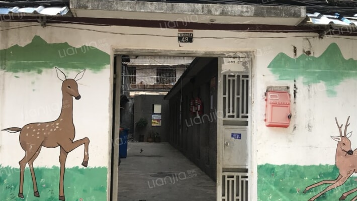 和平后村49号外景图