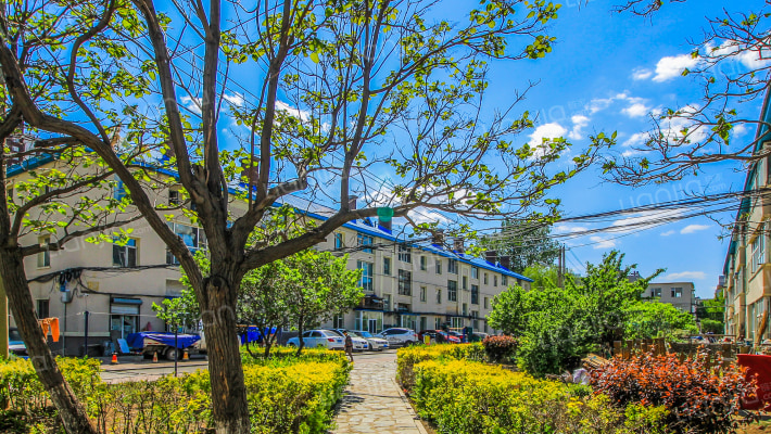 二二八厂宿舍外景图