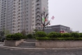永恒尚东25