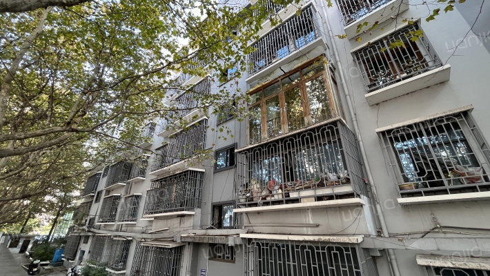 北京路20号外景图