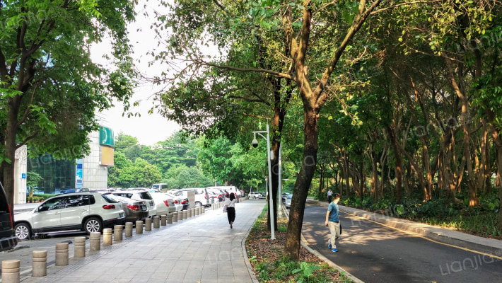 华丰大厦外景图