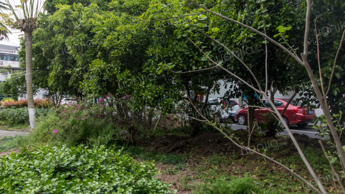 汾西小区外景图