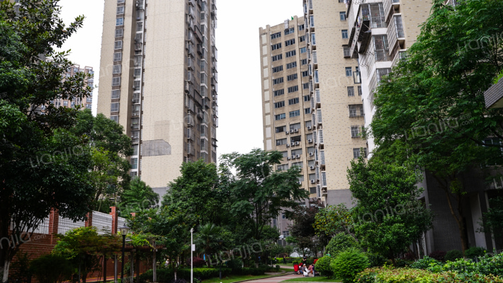 天天向上外景图