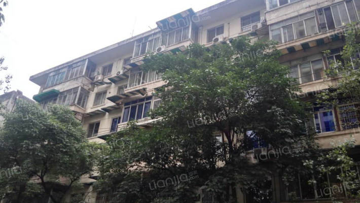 东珠市街65号外景图