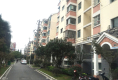 桥北新村5
