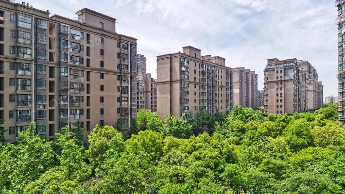 明发·国际新城（东区）外景图