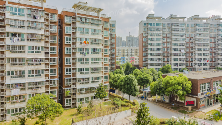 新林芳庭外景图