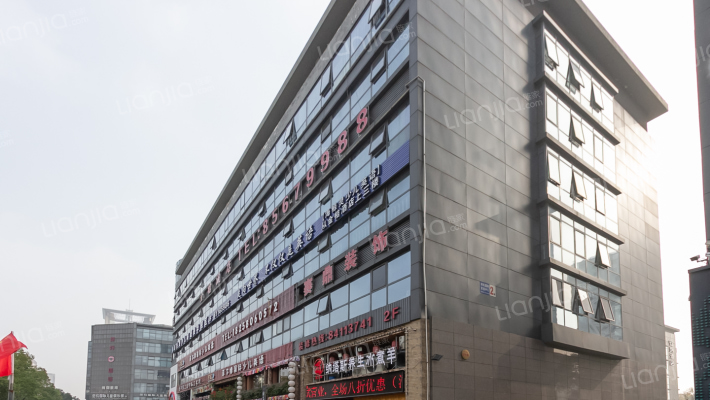 领先国际外景图