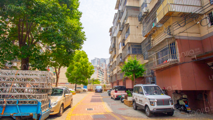 黄山路外景图