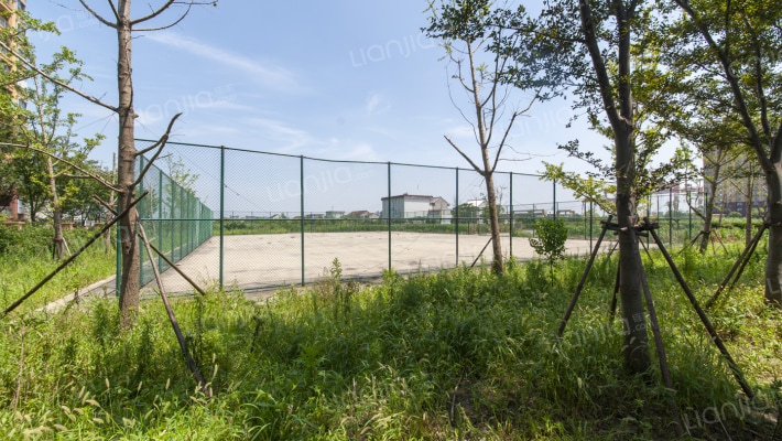 江欣家园外景图