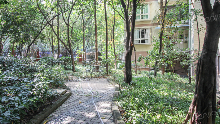 凤天花园外景图