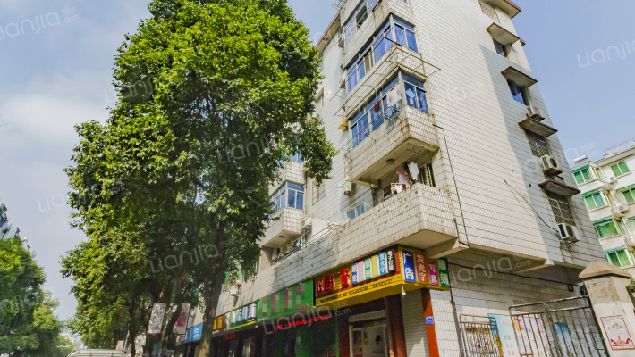 双馨路428号外景图