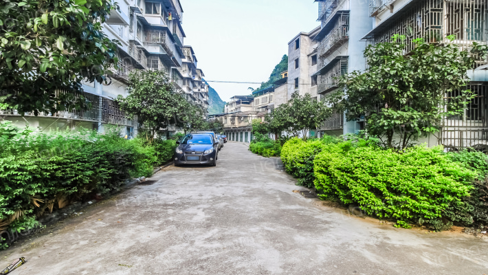 化机厂家属院外景图