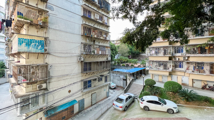 电业局西洪路单位宿舍外景图