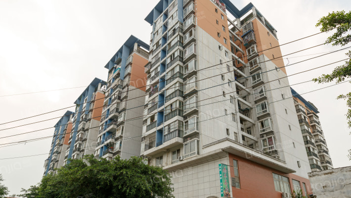 泰丰花苑外景图