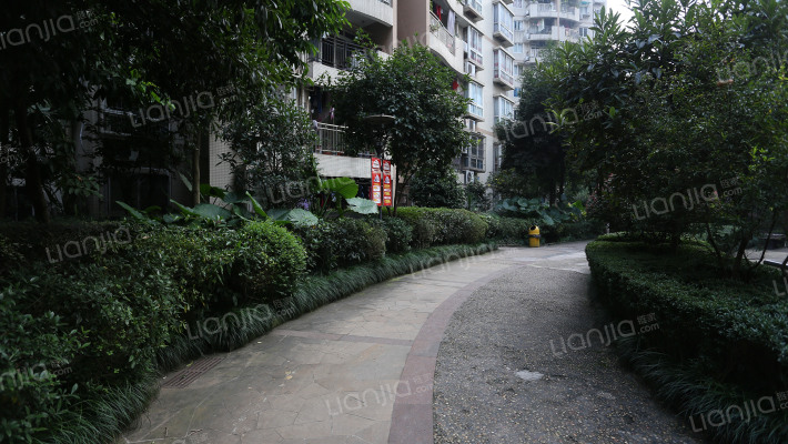 祥和人家外景图