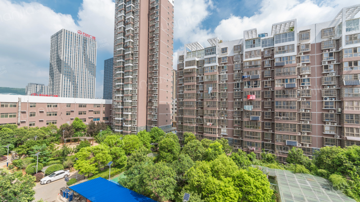 盛世年华外景图