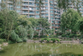 现代雅苑19