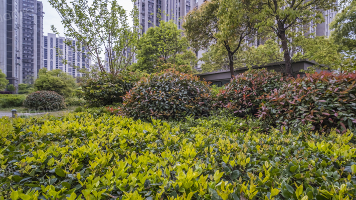 城林雅苑外景图