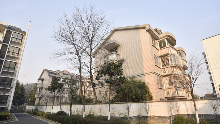 大渲新村外景图