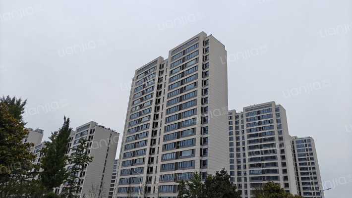 未来之宸外景图