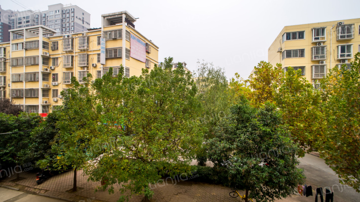 金庄社区11号院外景图