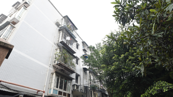 高山学府外景图