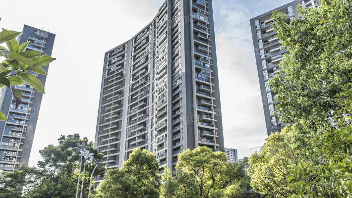 金基晓庐外景图