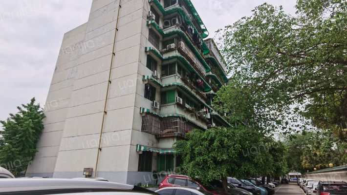 苏坡中路外景图