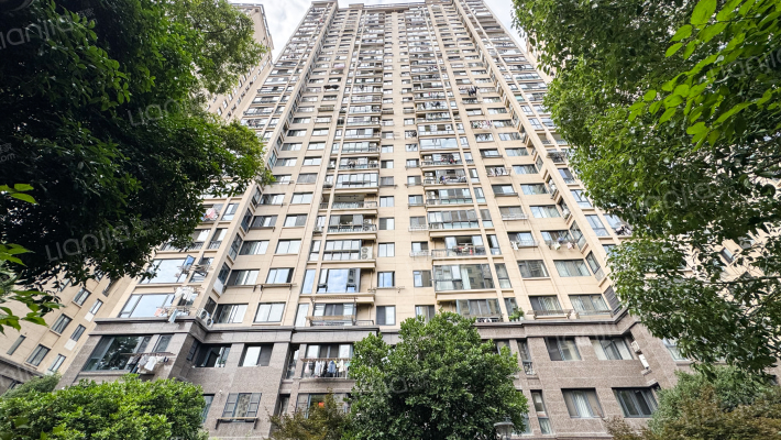 中央华府外景图