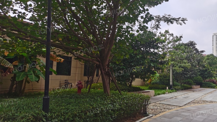 安吉大唐世家外景图