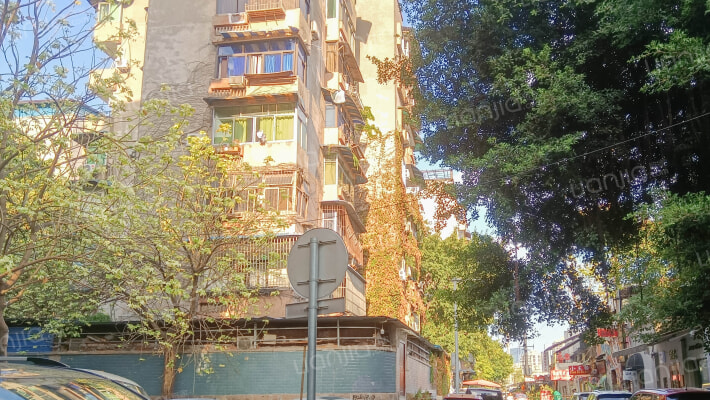 鲤鱼池四村外景图