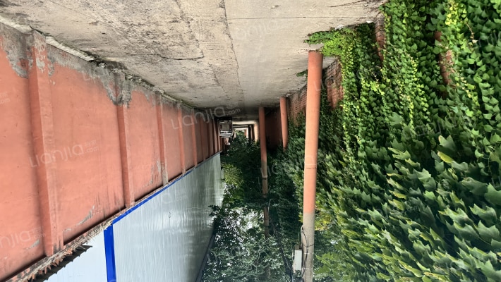 盆瑶街外景图
