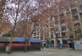 梅园新村8