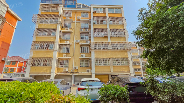 百合春天外景图