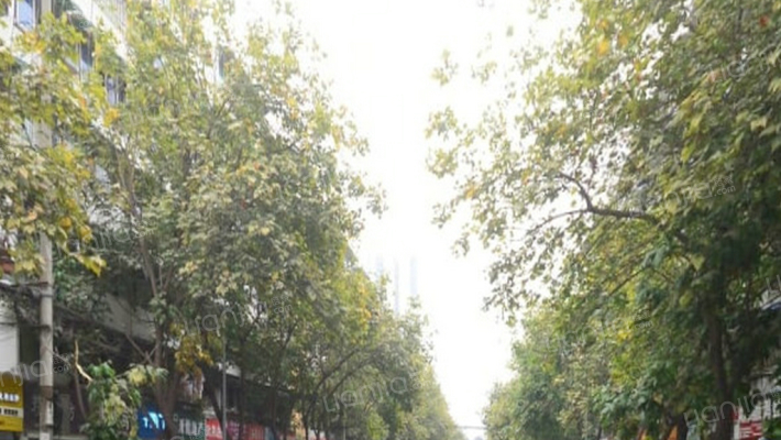 银沙北街92号外景图