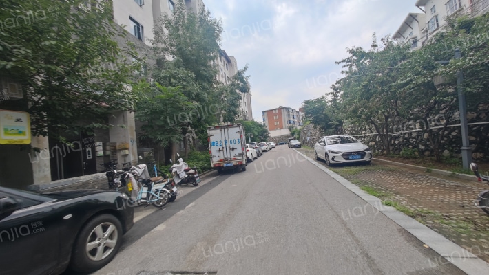 曲院风荷外景图