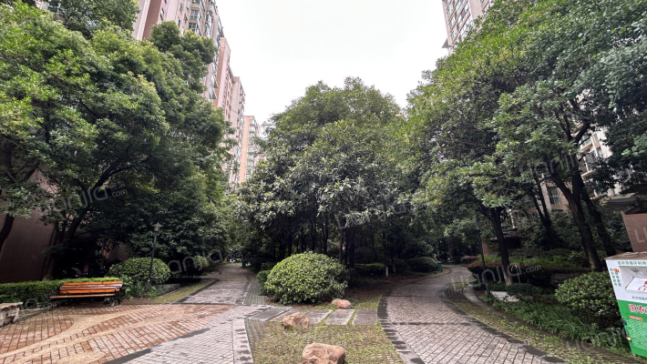 新城新世界一期外景图