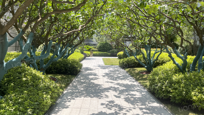 九山金茂府外景图