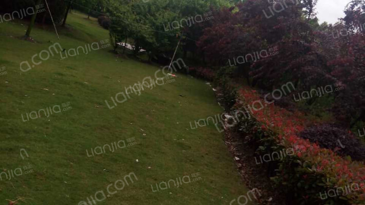 星云小区外景图