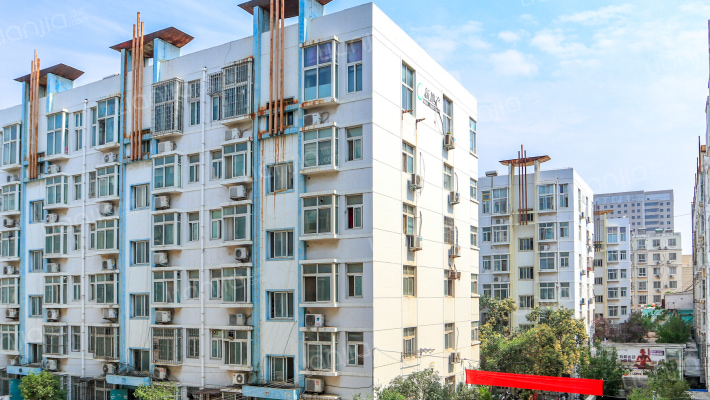 环城绿化队家属院外景图