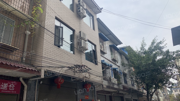 新民东八巷51号外景图